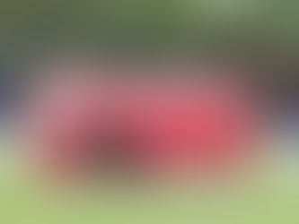 Unglückliche Niederlage in Gifhorn!