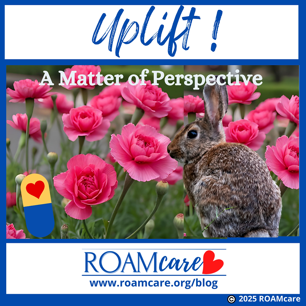 Rabbit among pink carnations, text reads "A Matter of Perspective." Soothing, nature-inspired mood.