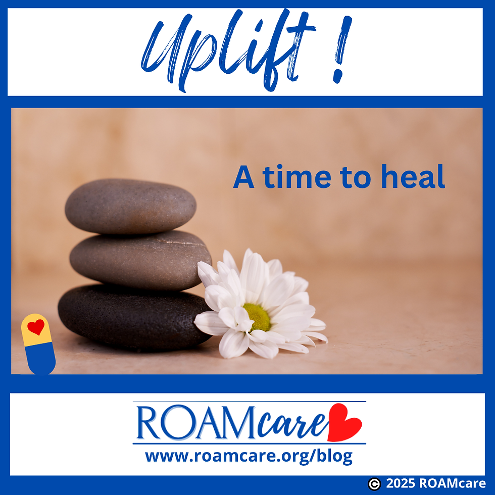 Stacked stones with a white daisy, text "A time to heal."