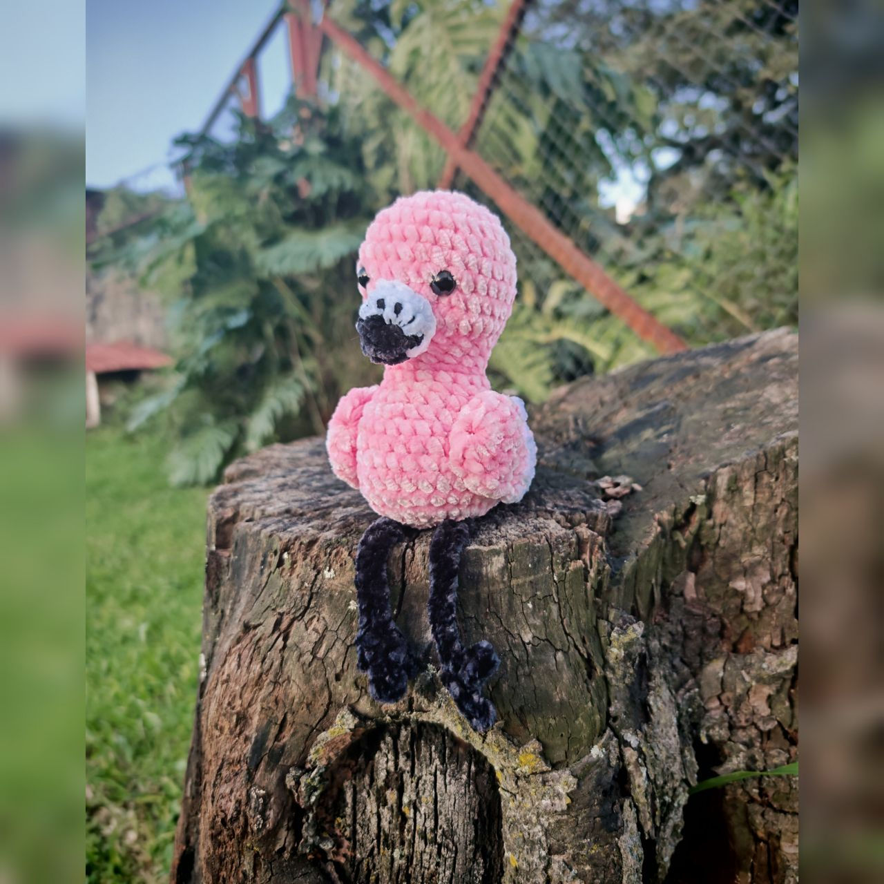 Flamingo Rosa