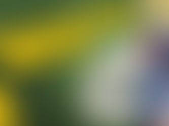 🌟NEW Grants & Expert Guidance to Elevate Your Daycare Center Management! 🌟