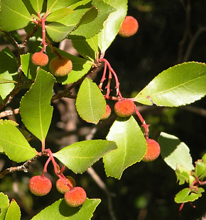 DSCN9672.JPG