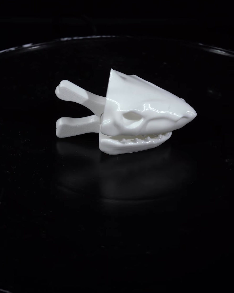 Thumbnail: Shark Skull Bag Clip
