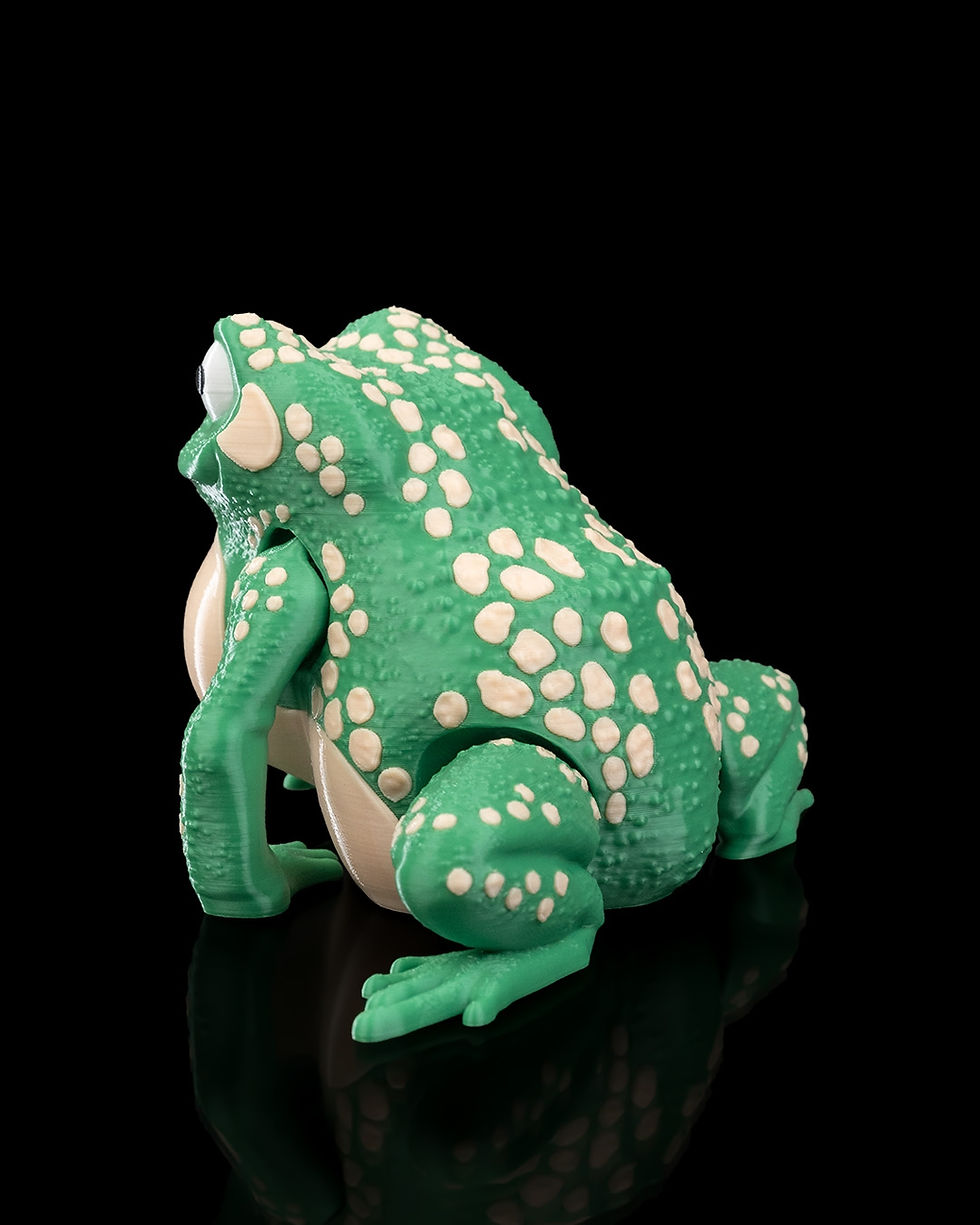 Thumbnail: Green and white spotted toy frog