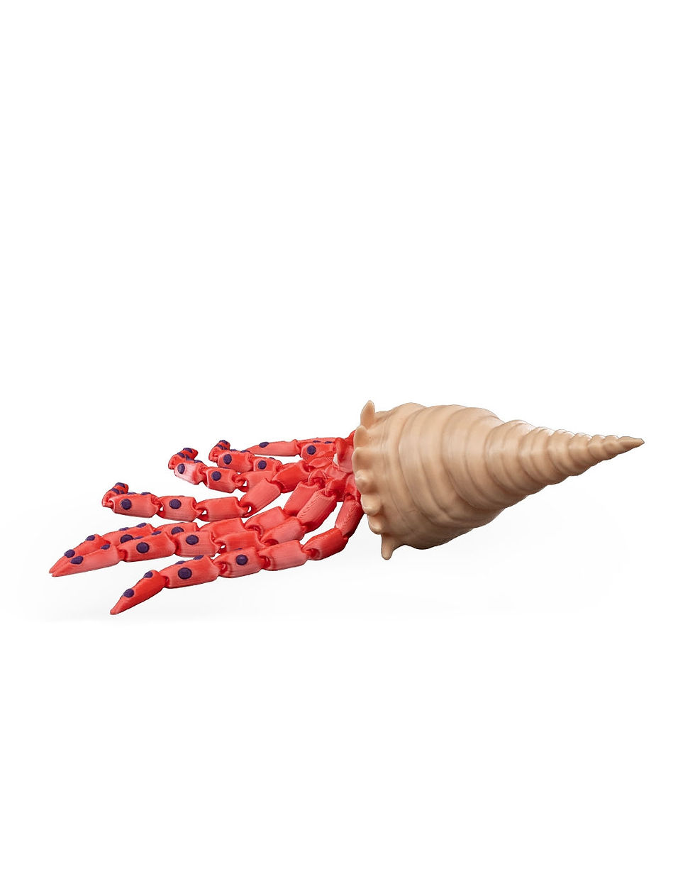 Thumbnail: Red hermit crab in spiral shell