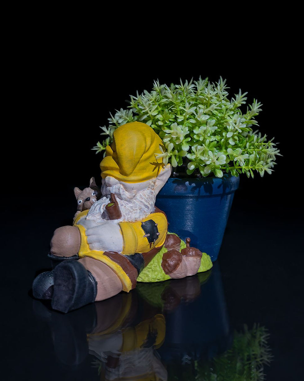 Thumbnail: Relaxing gnome planter with plant
