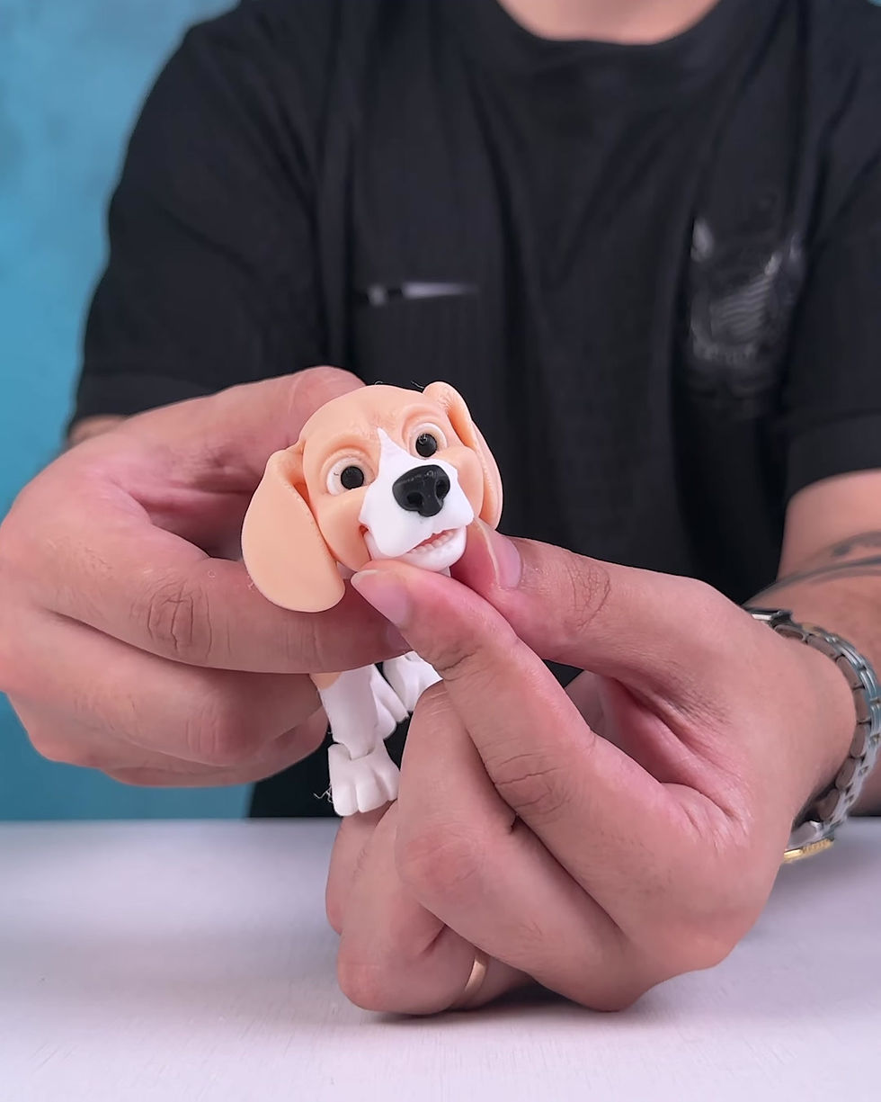 Thumbnail: Barry, the Beagle