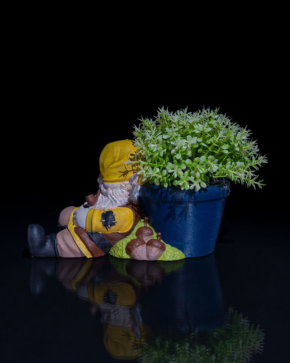 Thumbnail: Relaxing gnome planter with plant