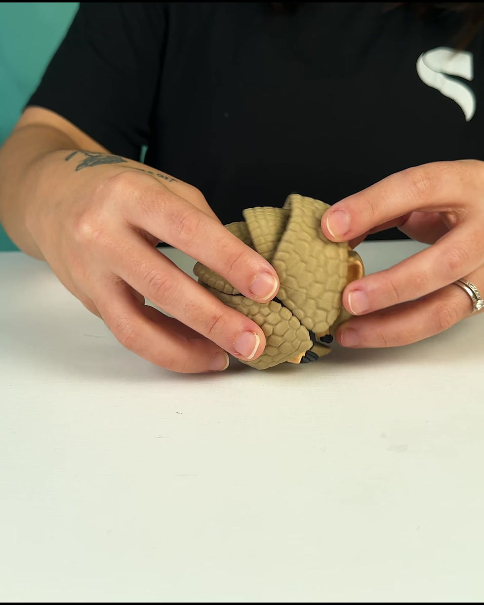 Thumbnail: Armadillo