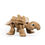 Thumbnail: Adorable tan dinosaur toy