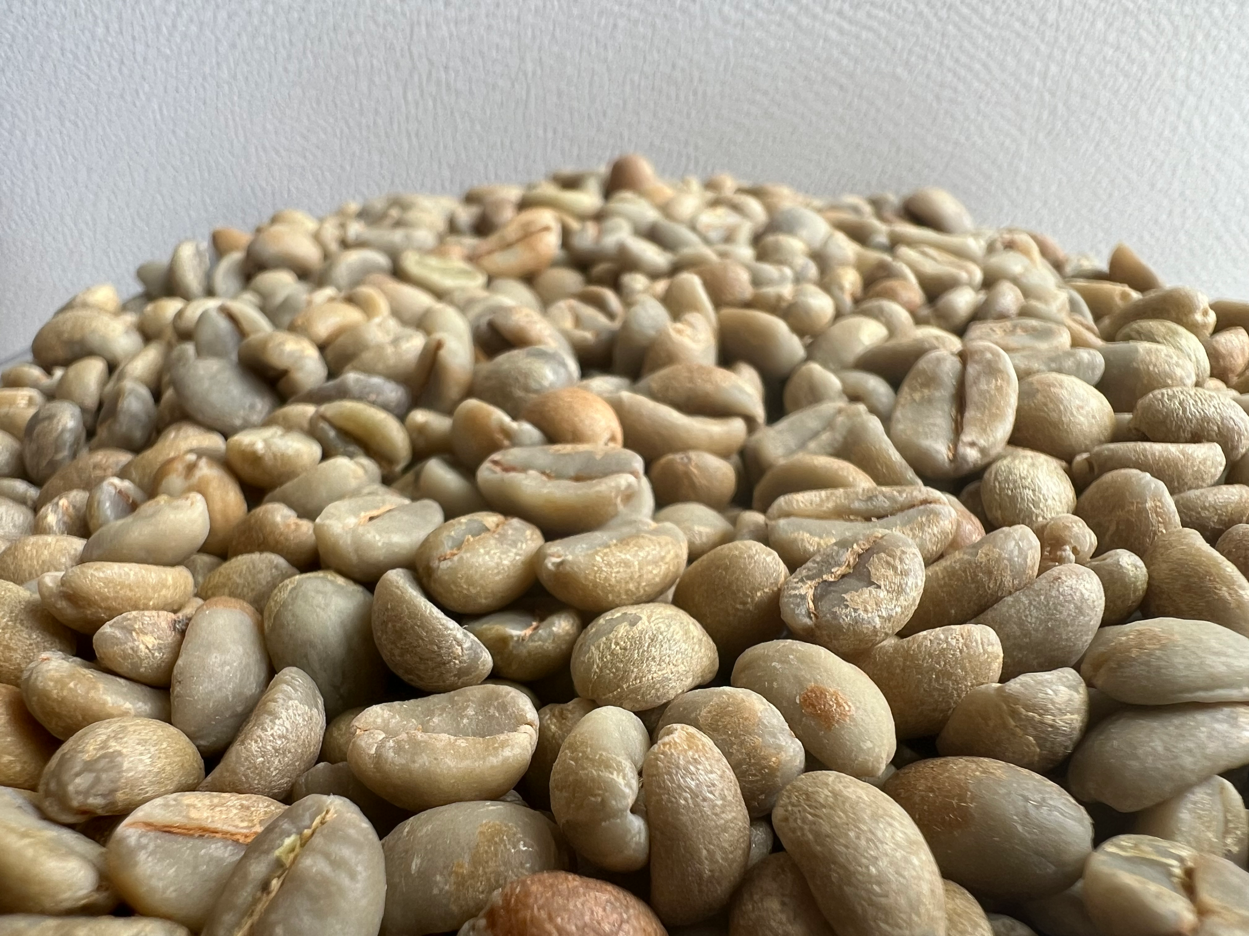 生豆　エチオピアイルガチェフェ