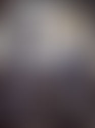 A Barbaric Proposal: Side Story 8. Dief dan Shellan menyelinap keluar kamar. Mereka mencoba jalan rahasia di perapian yang hanya diketahui Klima, tetapi gagal karena terlalu gelap. Di Kantor Kerajaan, Shellan menemukan keanehan pada catatan Kerajaan. Si kembar kemudian menyelinap ke Ruang Permata, menduga Klima adalah Raja yang menyamar dan berencana balas dendam pada Keluarga Arsak. Baca terjemahan novel korea, ligh novel dan web novel.