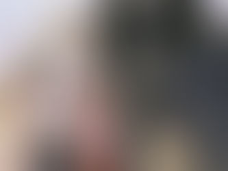 A Barbaric Proposal Side Story 11