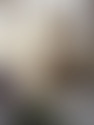 A Barbaric Proposal Ch 91: The Return of Weroz. Black struggles with "frivolous" jealousy over Liene's new guard, Klima, while discussing a brutal 21-year-old mystery. The sudden, gravely injured return of Weroz brings new political friction to Nauk. Read a translation of Korean, light novel, and web novel.