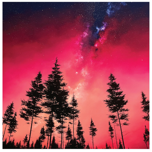 SILENT AWAKENING | Richard Rowan