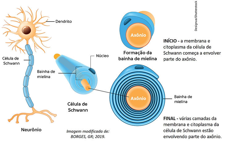 Imagem5.jpg