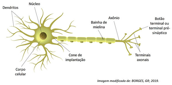 Imagem1.jpg