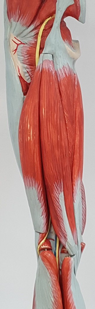 20220506_094333.jpg