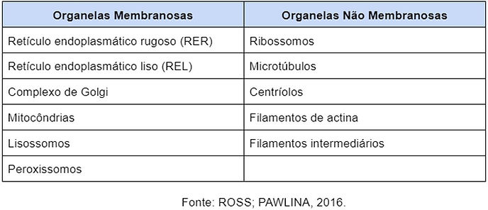 tabela.jpg