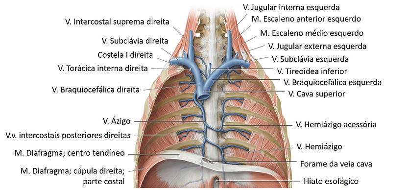 Imagem15.jpg