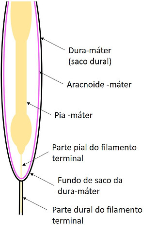 Imagem29.jpg