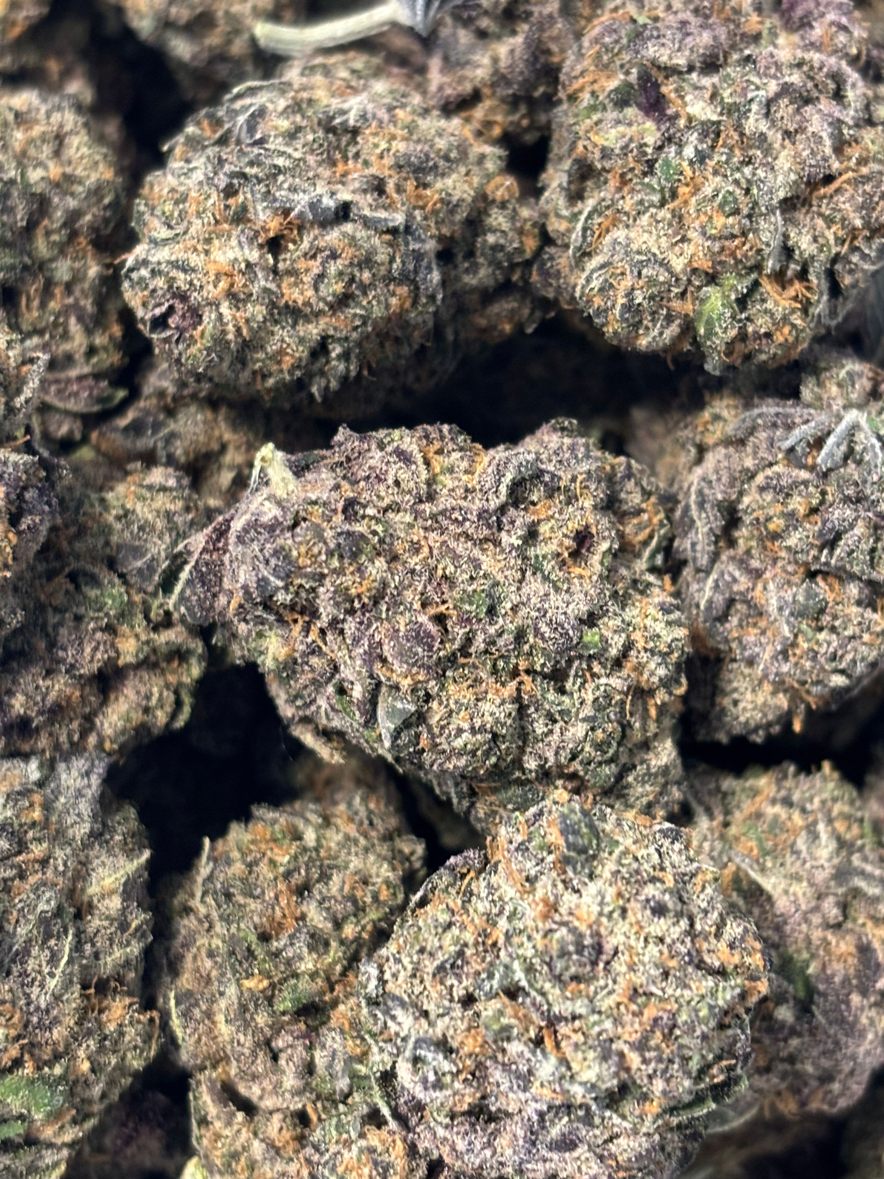 1G Jungle fruit 