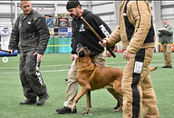 Screenshot 2022-07-11 at 13.23.11.png