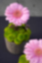 fine-food-catering-warszawa-catering-biznesowy-catering-indywidualny-kwiaty-na-catering-bu