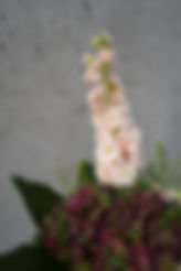 fine-food-catering-warszawa-catering-biznesowy-catering-indywidualny-kwiaty-na-catering-bu