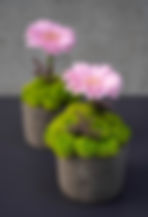 fine-food-catering-warszawa-catering-biznesowy-catering-indywidualny-kwiaty-na-catering-bu