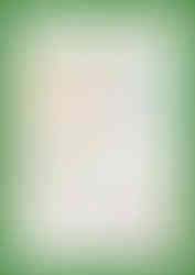 Premium bubble tea ingredients including specialty tea, boba pearls, and popping balls for drinks.