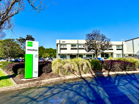 Choosing a Bubble Tea Supplier in New Zealand: Ingredients, Quality & Business Support