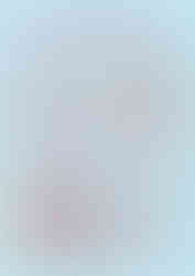 Premium bubble tea ingredients including specialty tea, boba pearls, and popping balls for drinks.