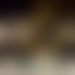 MAISON DE NOSTRADAMUS