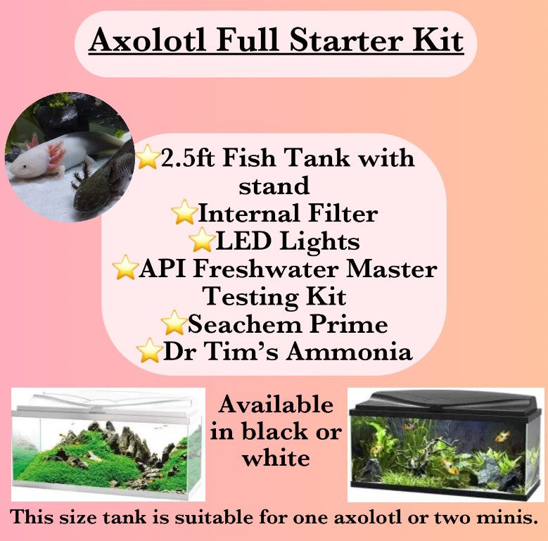 Full Axolotl Starter Setup Axoltol Sales Site