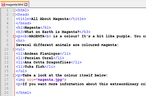 All Programming Topics | CSNewbs