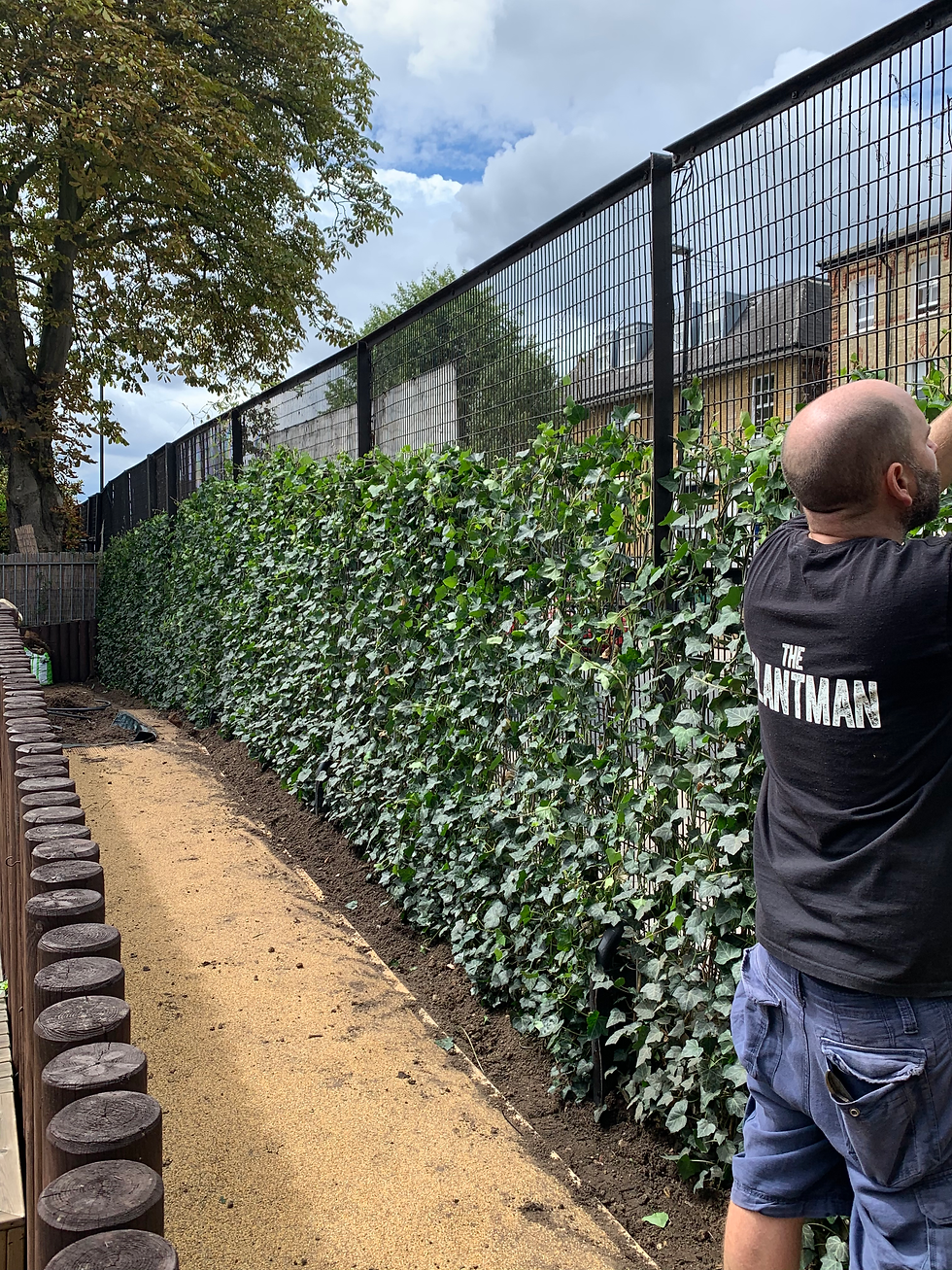 North Islington Primary School