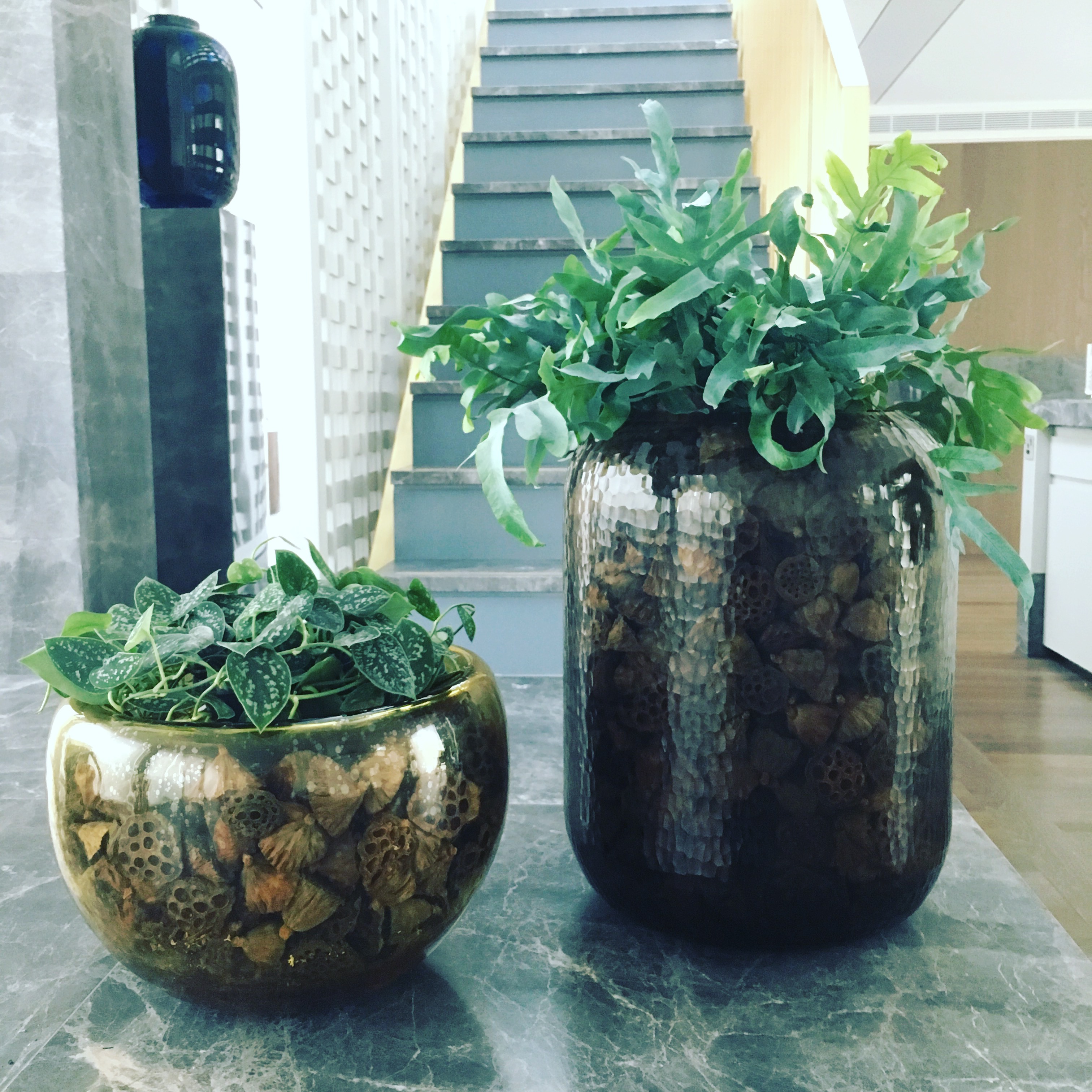 Penthouse Planting