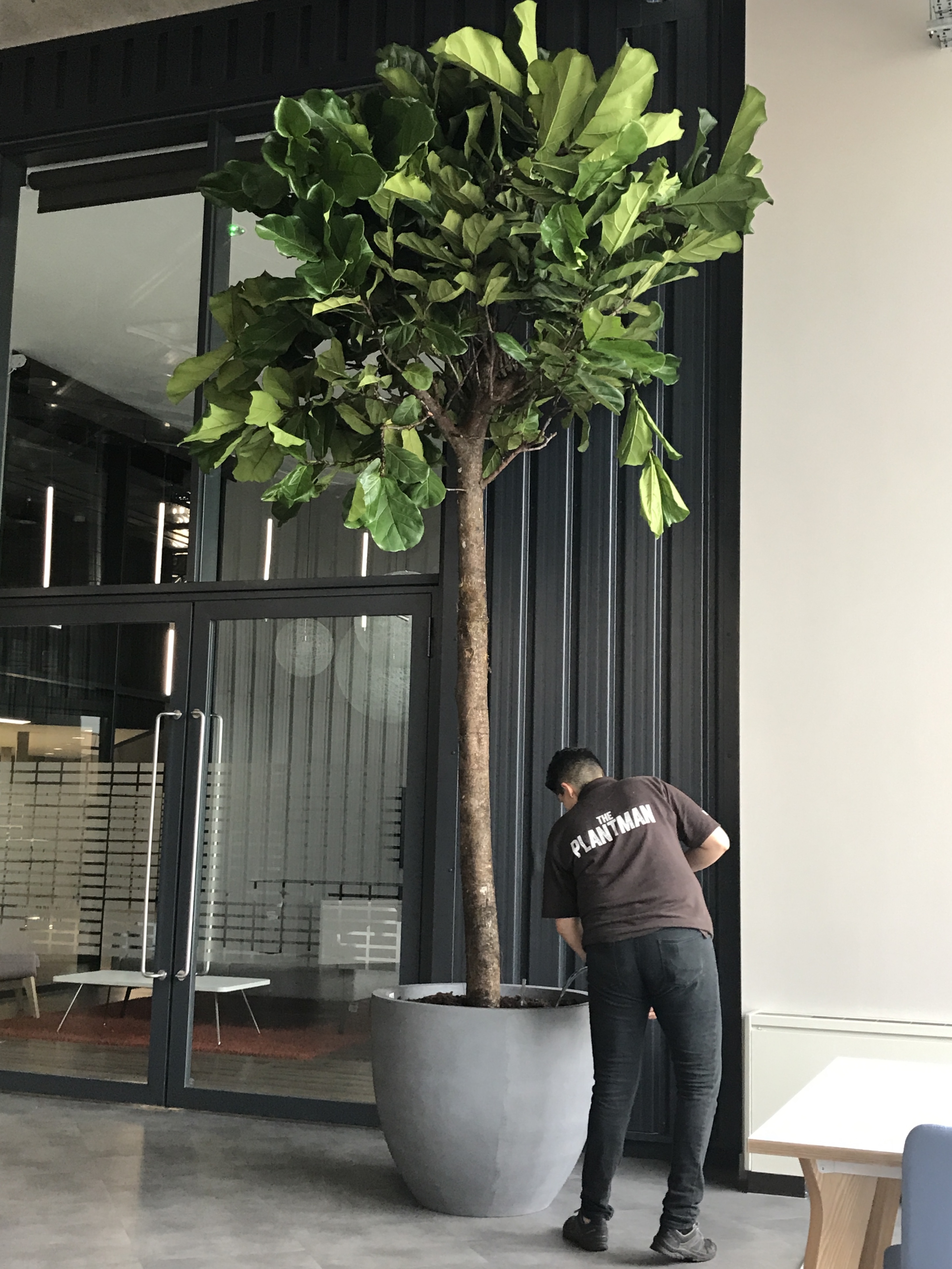 Interior office reception