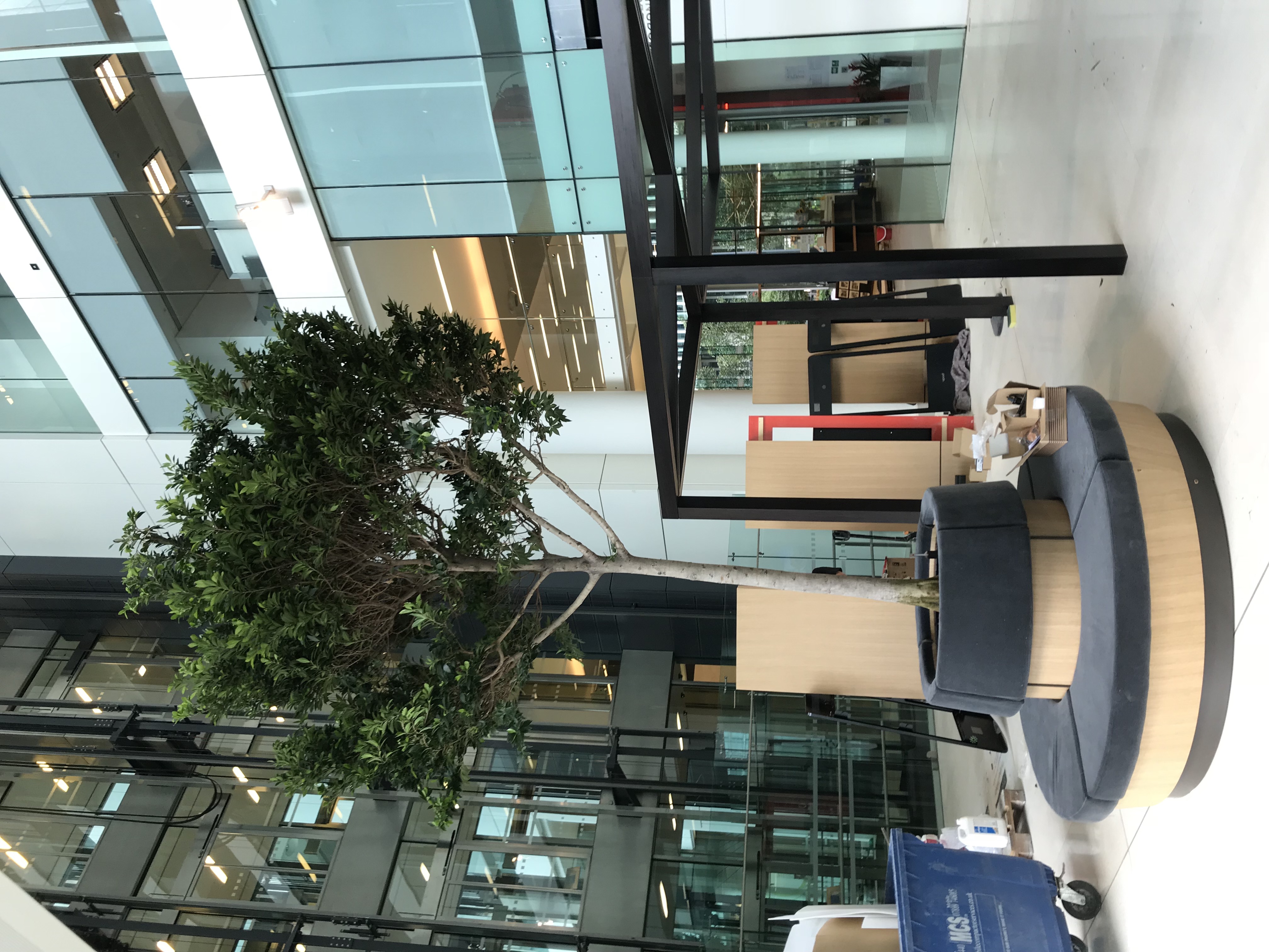 Atrium Planting London