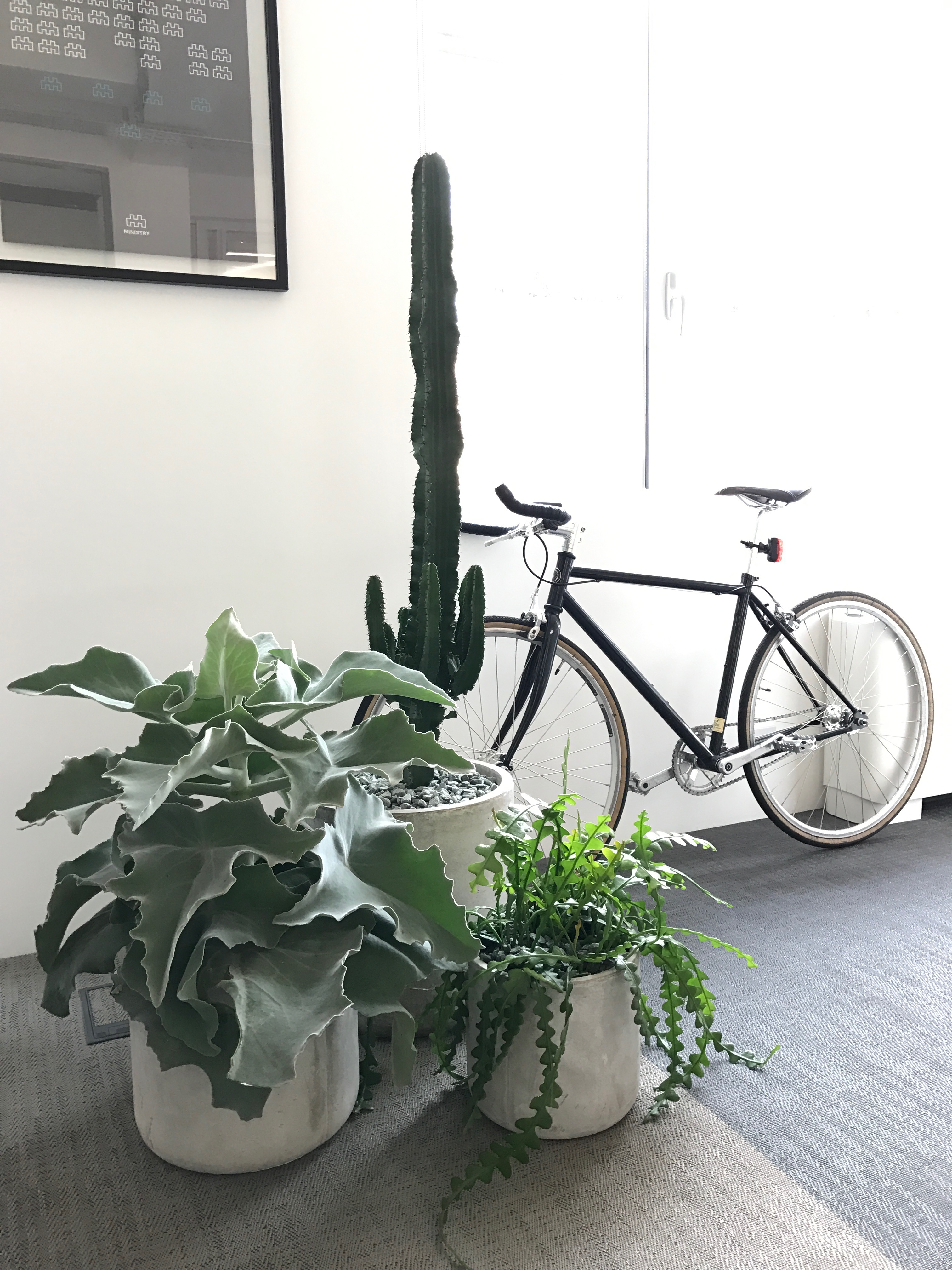 Office Planting