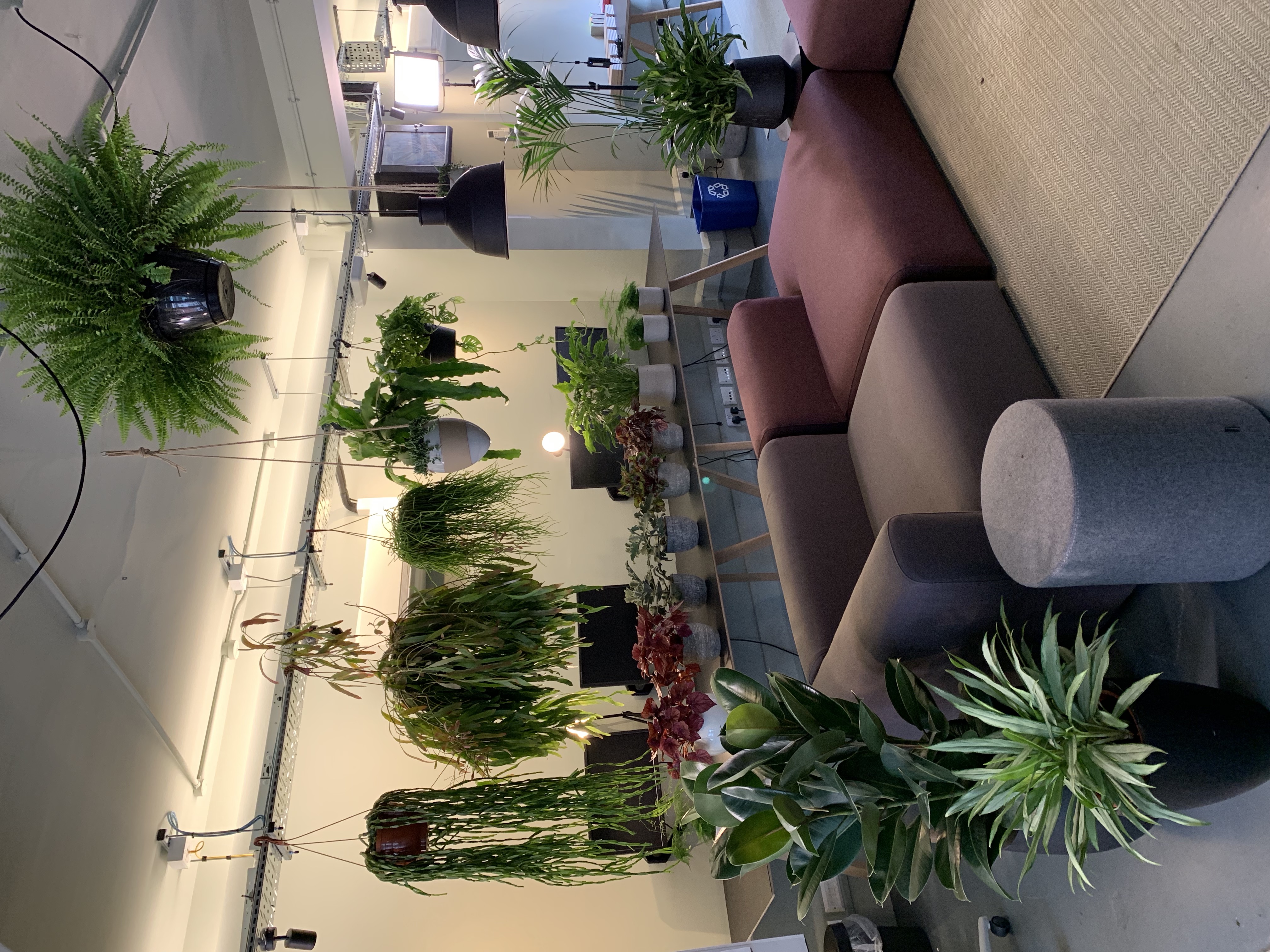Office Reception