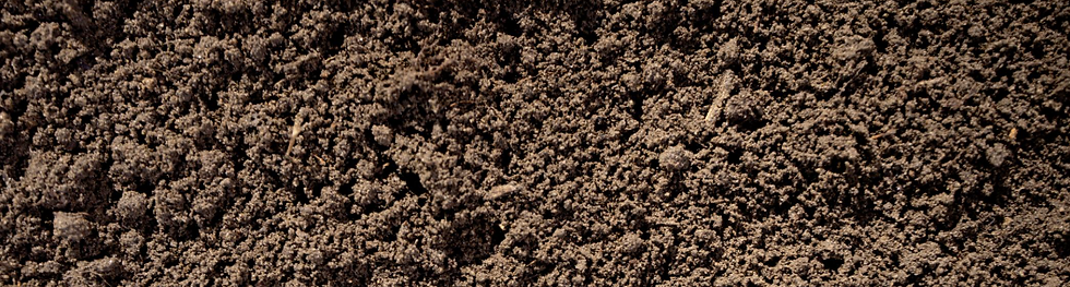 Soil.png