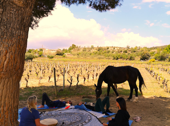 meditation with horses alaya