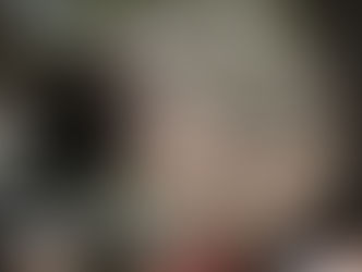 Gros pissenlit dont les petits plumeaux se détachent et s'envolent.