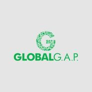 globalap.jpg
