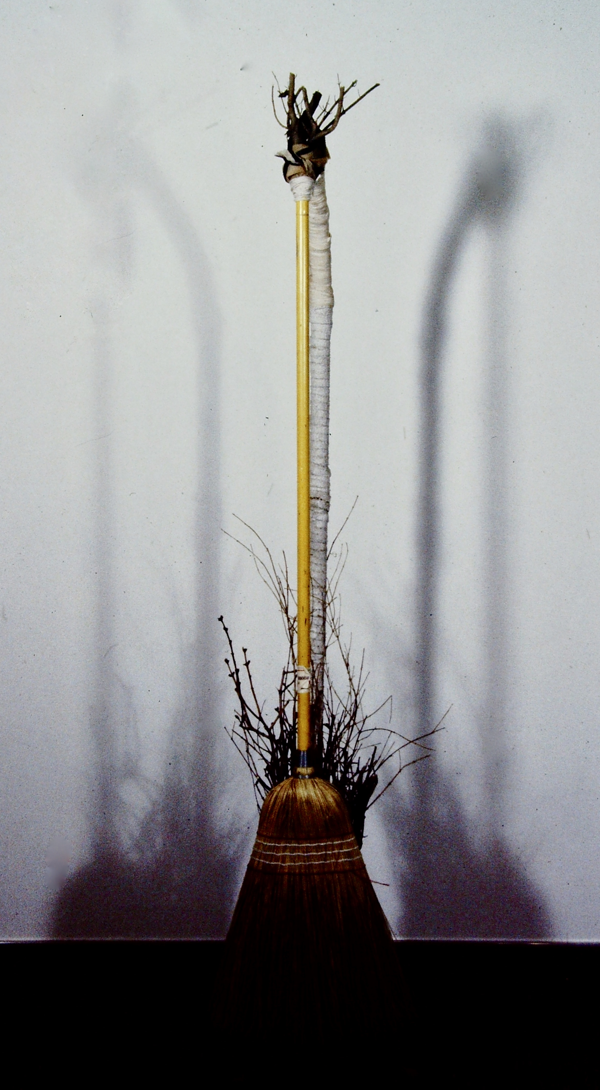 Broom Stick