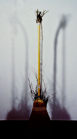 Broom Stick