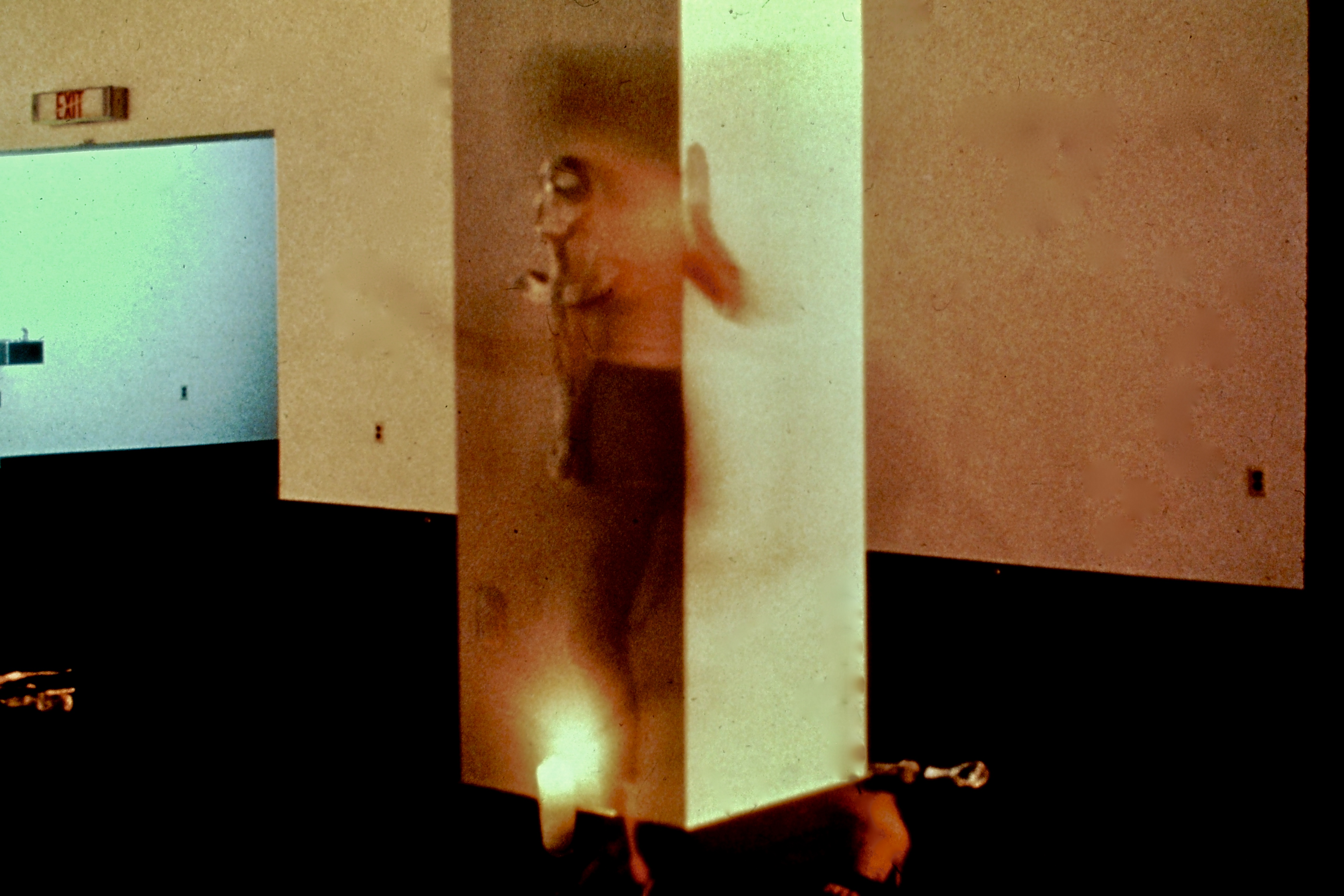 Wall Woman