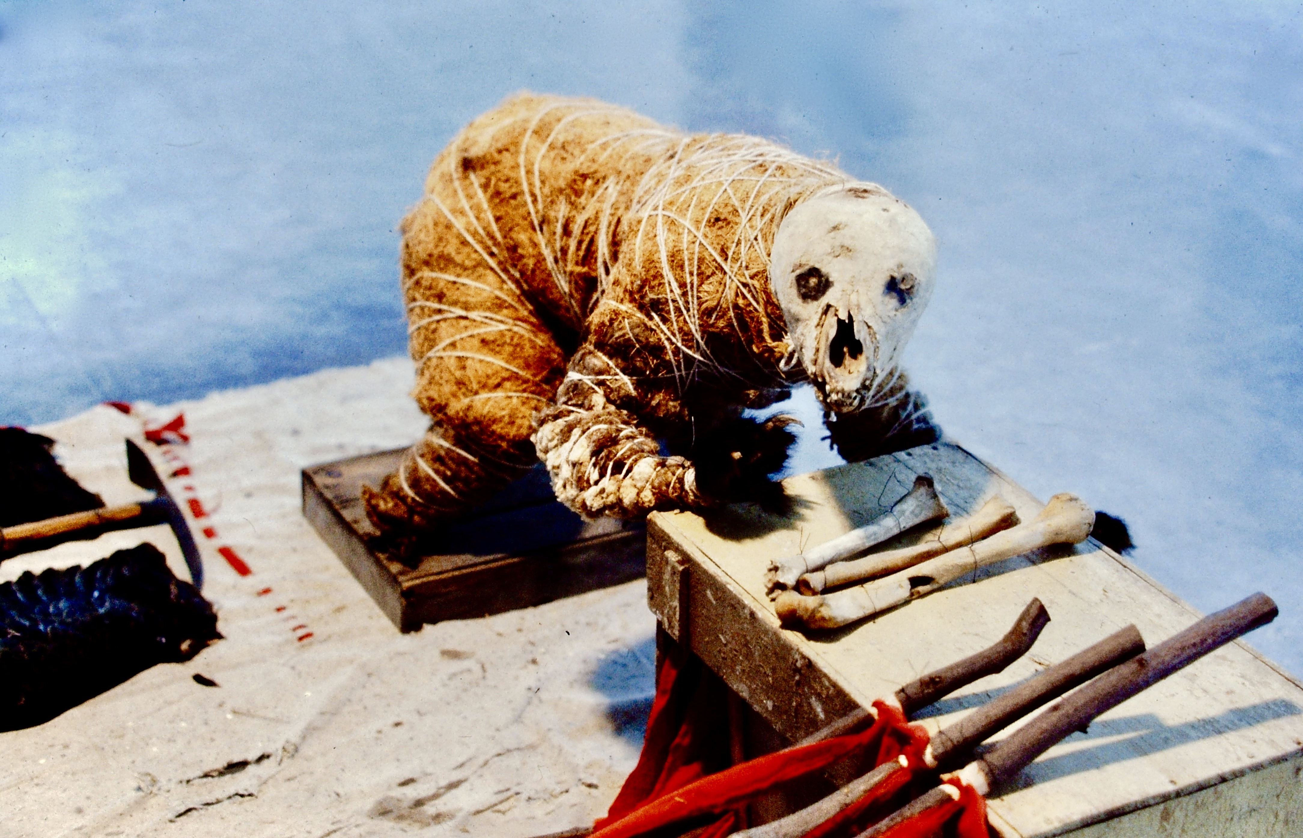 Bear Drag (detail)